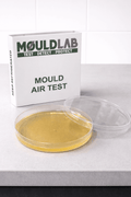 Mold Air Test kit from MouldLab with petri dish and packaging on a kitchen counter.
