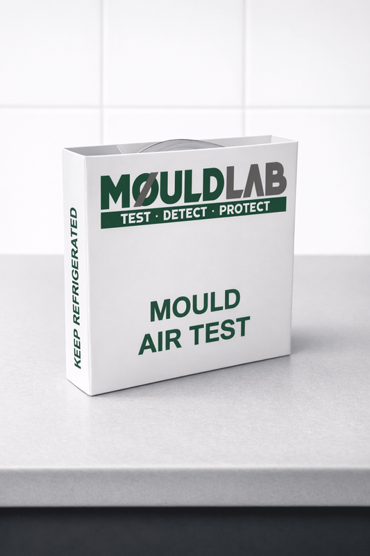 Mold Air Test package on a countertop, showcasing accurate mold spore measurement for homes.