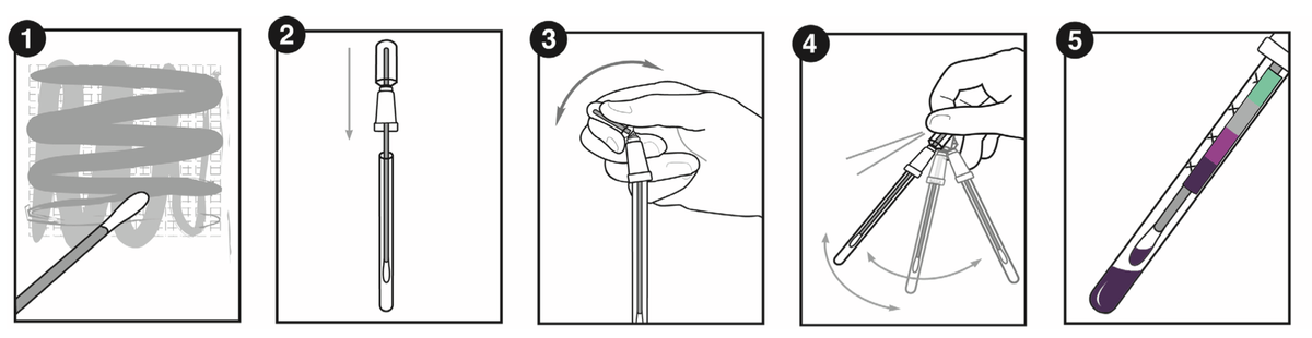 Step-by-step guide for using the Mold Surface Test, demonstrating how to collect and test samples.